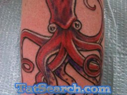 octopus_82