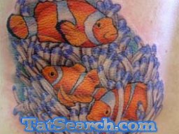 clown_fish_15