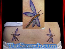 dragonfly_92