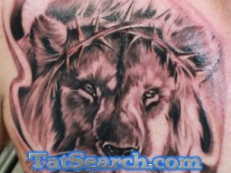 lion_84