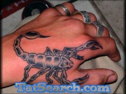 scorpion_50