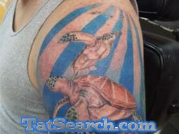 sea_turtle_52